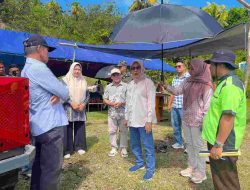 Wabup Majene Hadiri Pesta Panen di Sendana, Serahkan Bantuan Alsintan untuk Perkuat Ketahanan Pangan