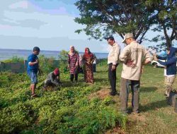 Peringati Hari Lingkungan Hidup 2026, Pemkab Majene Gelar Kerja Bakti dan Penanaman Pohon Serentak