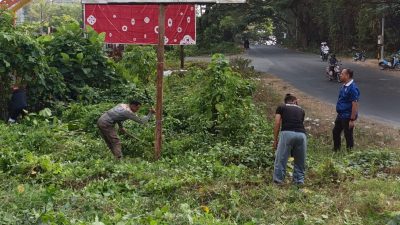 Wujudkan Lingkungan Kerja Sehat, Satpol PP dan Damkar Sulbar Kerja Bakti Dukung Gerakan Indonesia Asri