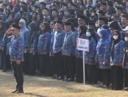 Kabar Gembira di HUT RI ke-81: Gaji PPPK Mamuju Dibayar hingga Desember, TPP ASN Cair 9 Bulan