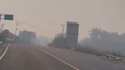 Respons Laporan Asap Tebal di Pangale, BPBD Sulbar Terus Lakukan Pemantauan dan Koordinasi