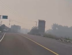 Respons Laporan Asap Tebal di Pangale, BPBD Sulbar Terus Lakukan Pemantauan dan Koordinasi